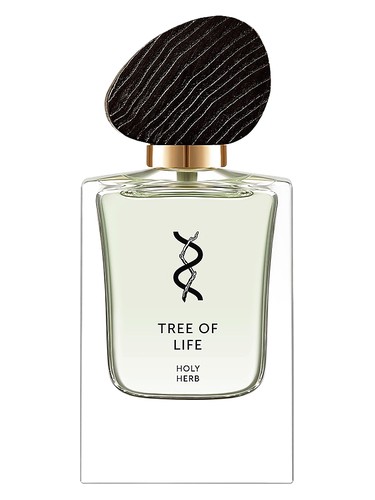 Holy Herb by Tree Of Life