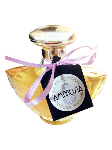 Ambrosia by TRNP