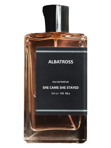 She Came She Stayed by Albatross