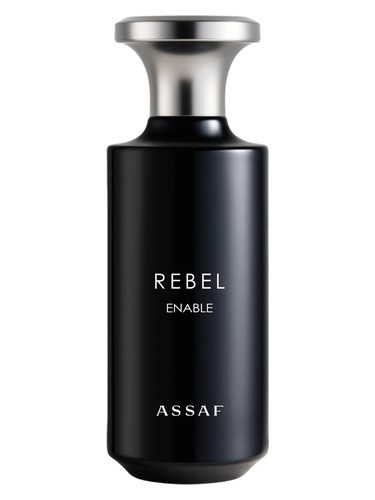 Rebel by Assaf