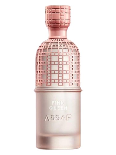 Pink Queen by Assaf