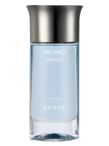 Pegasus Purino by Assaf