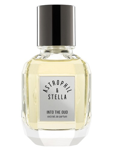 Into The Oud by Astrophil & Stella