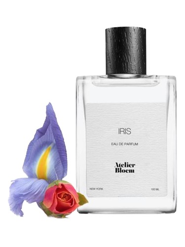 Iris by Atelier Bloem
