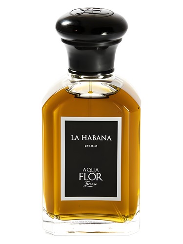 La Habana by Aquaflor Firenze