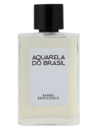 Bambu Brasiliensis by Aquarela do Brasil