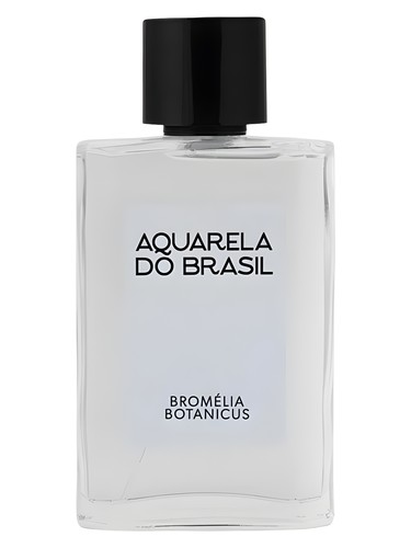 Bromélia Botanicus by Aquarela do Brasil