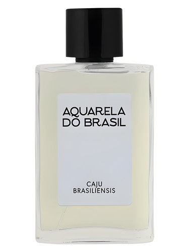 Caju Brasiliensis by Aquarela do Brasil