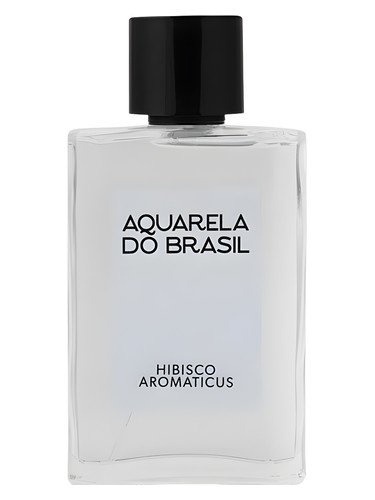 Hibisco Aromaticus by Aquarela do Brasil