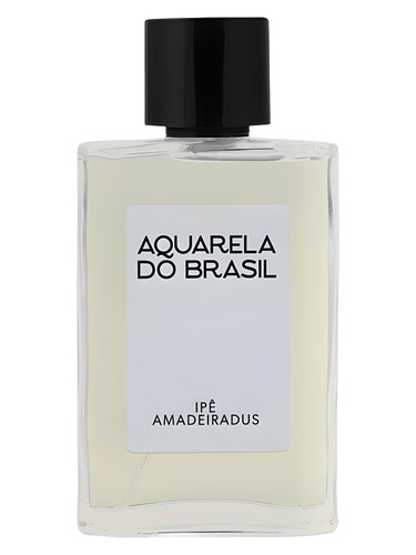 Ipê Amadeiradus by Aquarela do Brasil