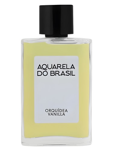 Orquídea Vanilla by Aquarela do Brasil