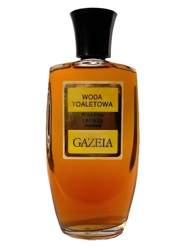 Gazela by Pollena Lechia