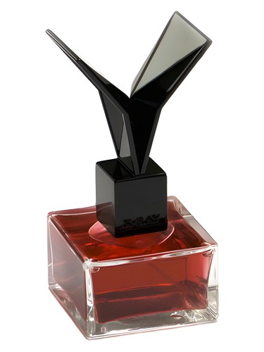 Lacquered Rose by X-Ray