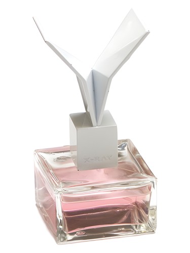 Plastique by X-Ray