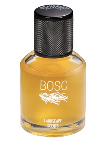Bosc by Bravanariz