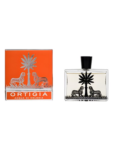 Coral Shell by Ortigia Sicilia