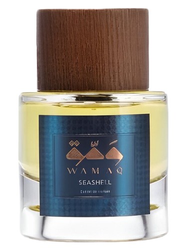 Seashell by WAMAQ