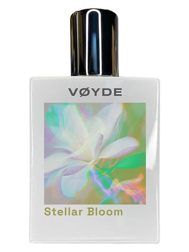 Stellar Bloom by LabHouse