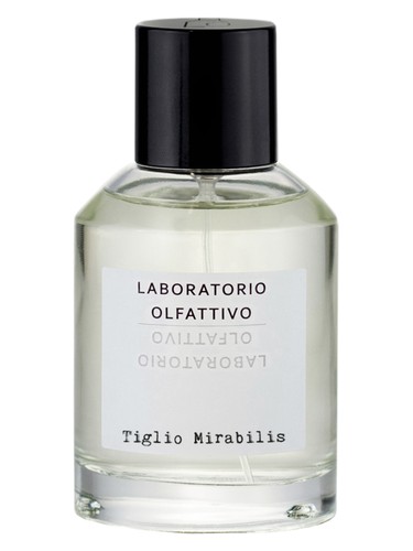 Tiglio Mirabilis by Laboratorio Olfattivo