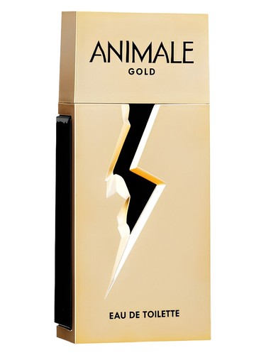 Gold for Men by Animale