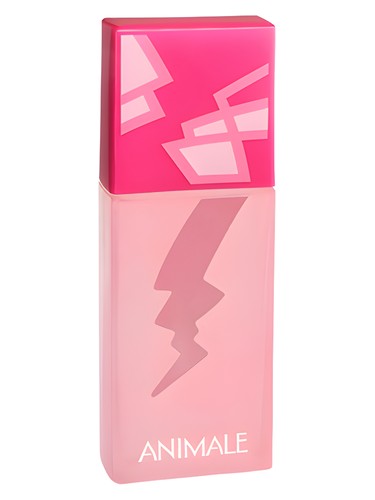 Love by Animale