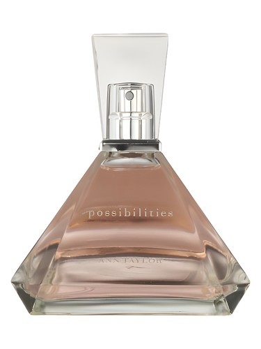 Possibilities by Ann Taylor