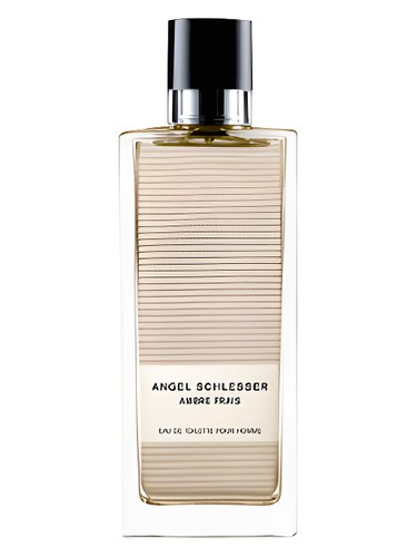 Ambre Frais Homme by Angel Schlesser