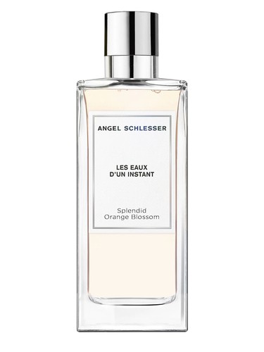 Splendid Orange Blossom by Angel Schlesser
