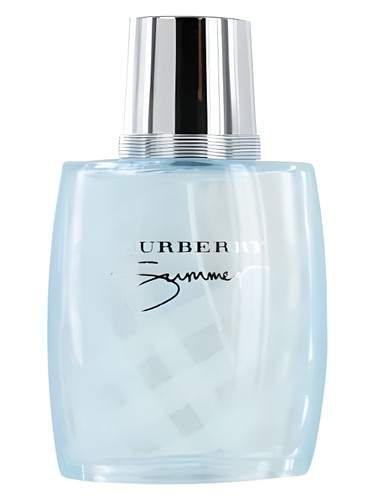 Summer for Men 2010 by Burberry