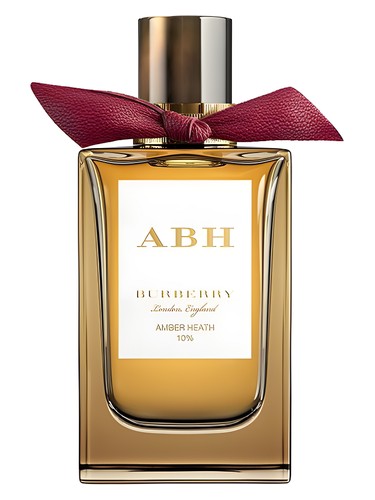Amber Heath by Burberry