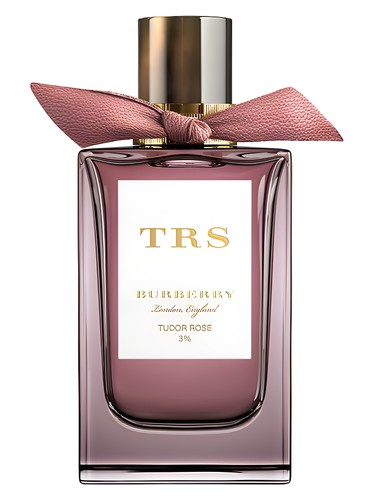 Tudor Rose by Burberry