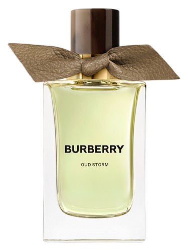 Oud Storm by Burberry