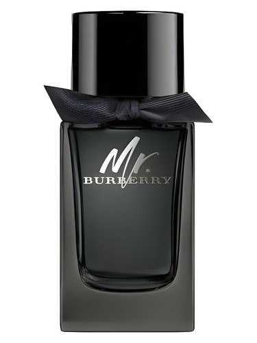 Mr. Burberry Eau de Parfum by Burberry