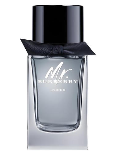 Mr. Burberry Indigo by Burberry