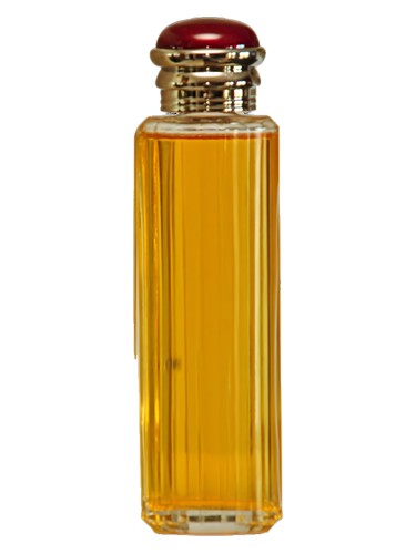 Society by Burberry