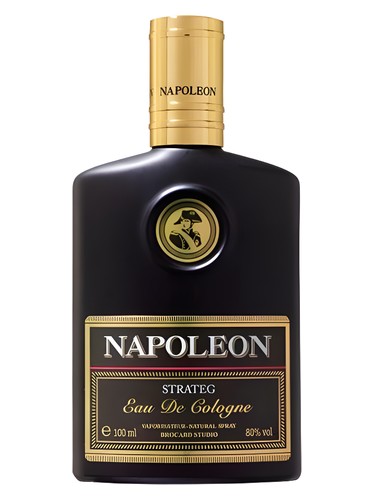 Napoleon Strateg by Brocard