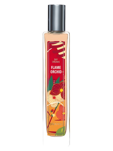 Flame Orchid by Brocard