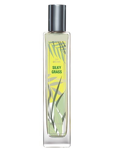 Silky Grass by Brocard