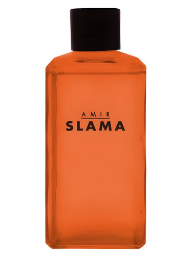 Amir Slama Raiz by Phebo