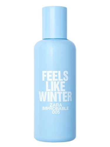 005 Feels Like Winter by Zara