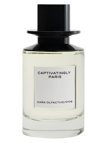 Captivatingly Paris by Zara