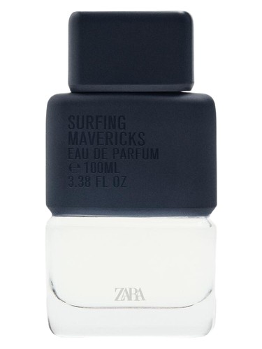 Surfing Mavericks by Zara