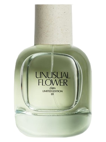 Unusual Flower by Zara