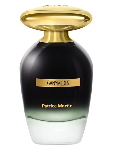 Ganymedes by Patrice Martin