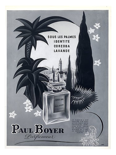 Sous Les Palmes by Paul Boyer