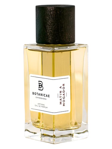 Matin a Mogador by Botanicae