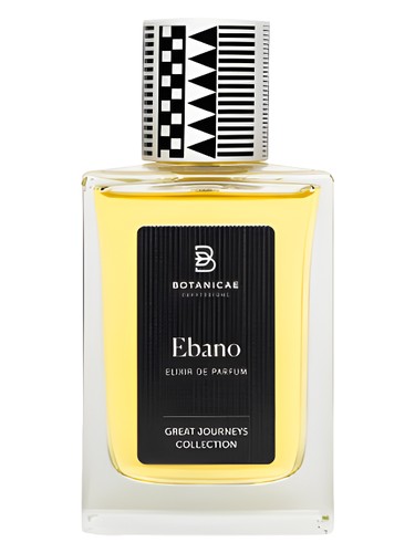 Ebano by Botanicae