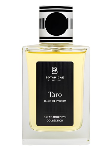 Taro by Botanicae