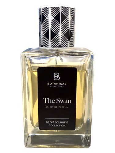 The Swan by Botanicae