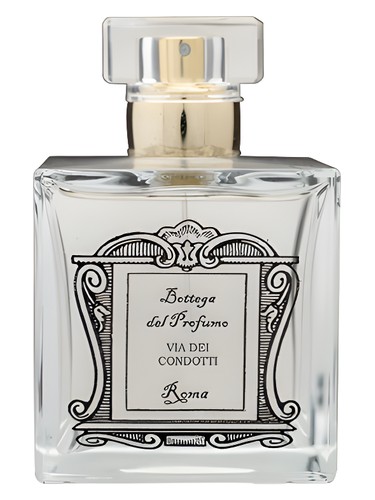 Via dei Condotti by Bottega del Profumo